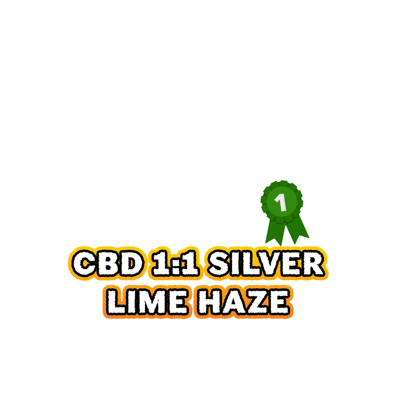 23-silver-lime-haze-auto-1-best-cbd-strain